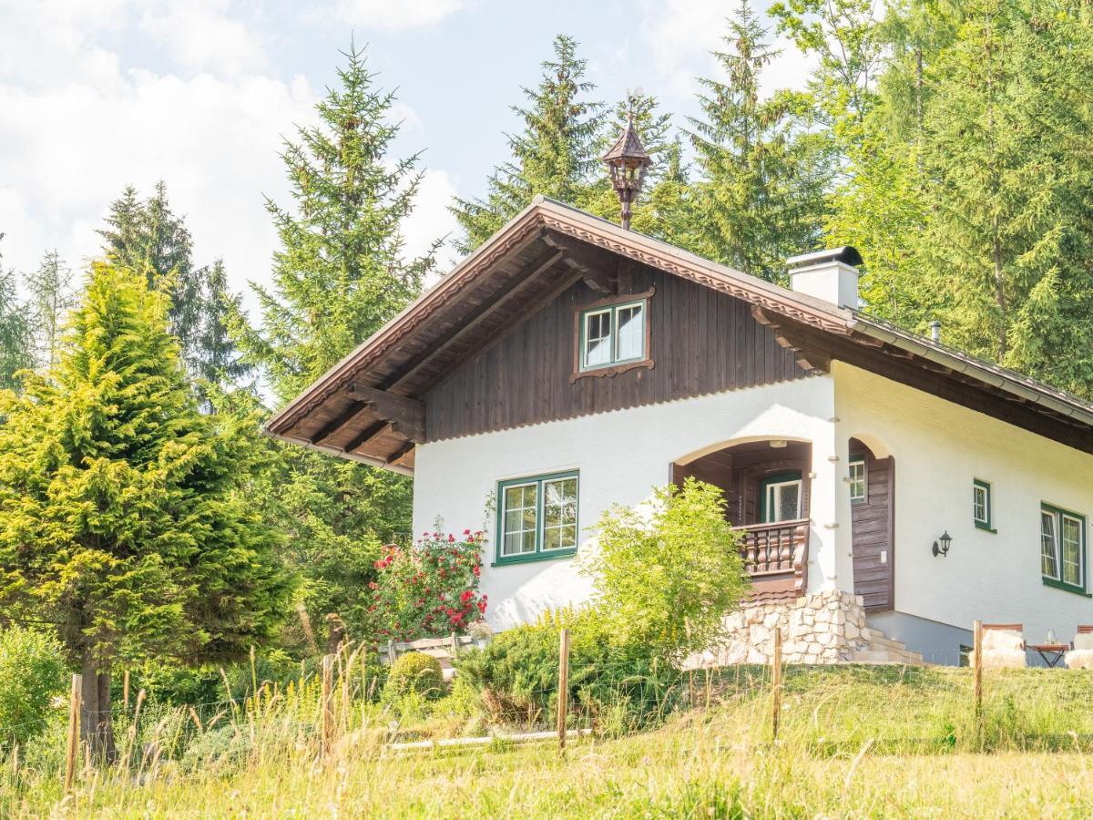 Vila Strickerl Bad Goisern Exteriér fotografie