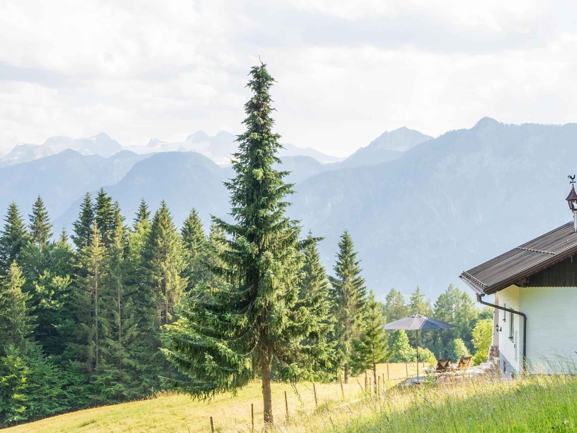 Vila Strickerl Bad Goisern Exteriér fotografie