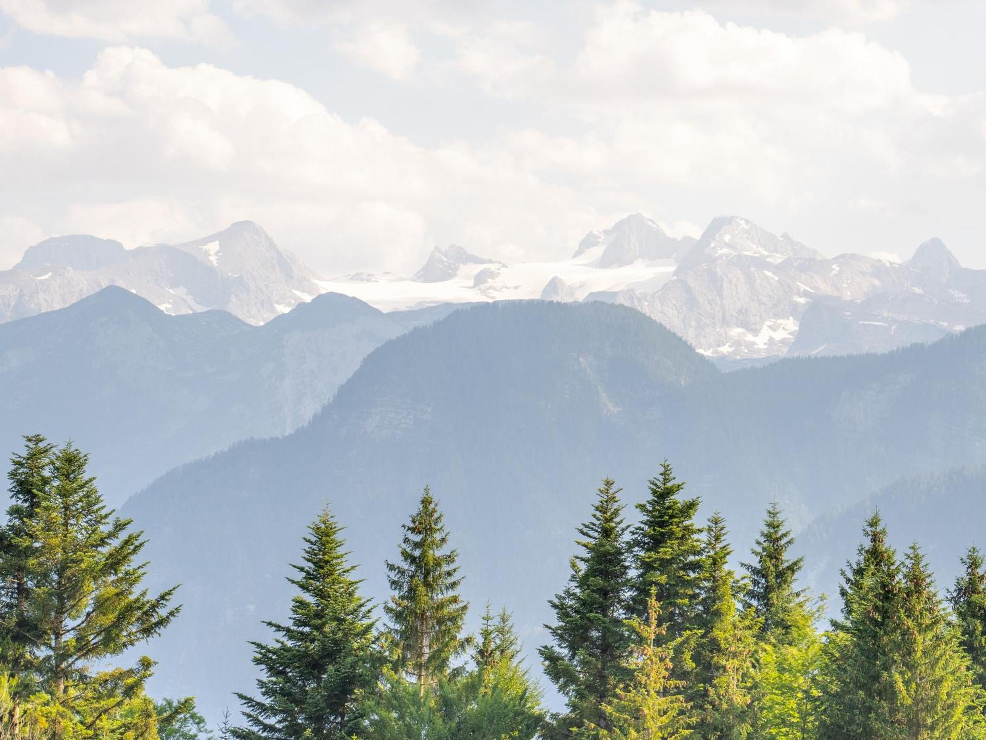 Vila Strickerl Bad Goisern Exteriér fotografie