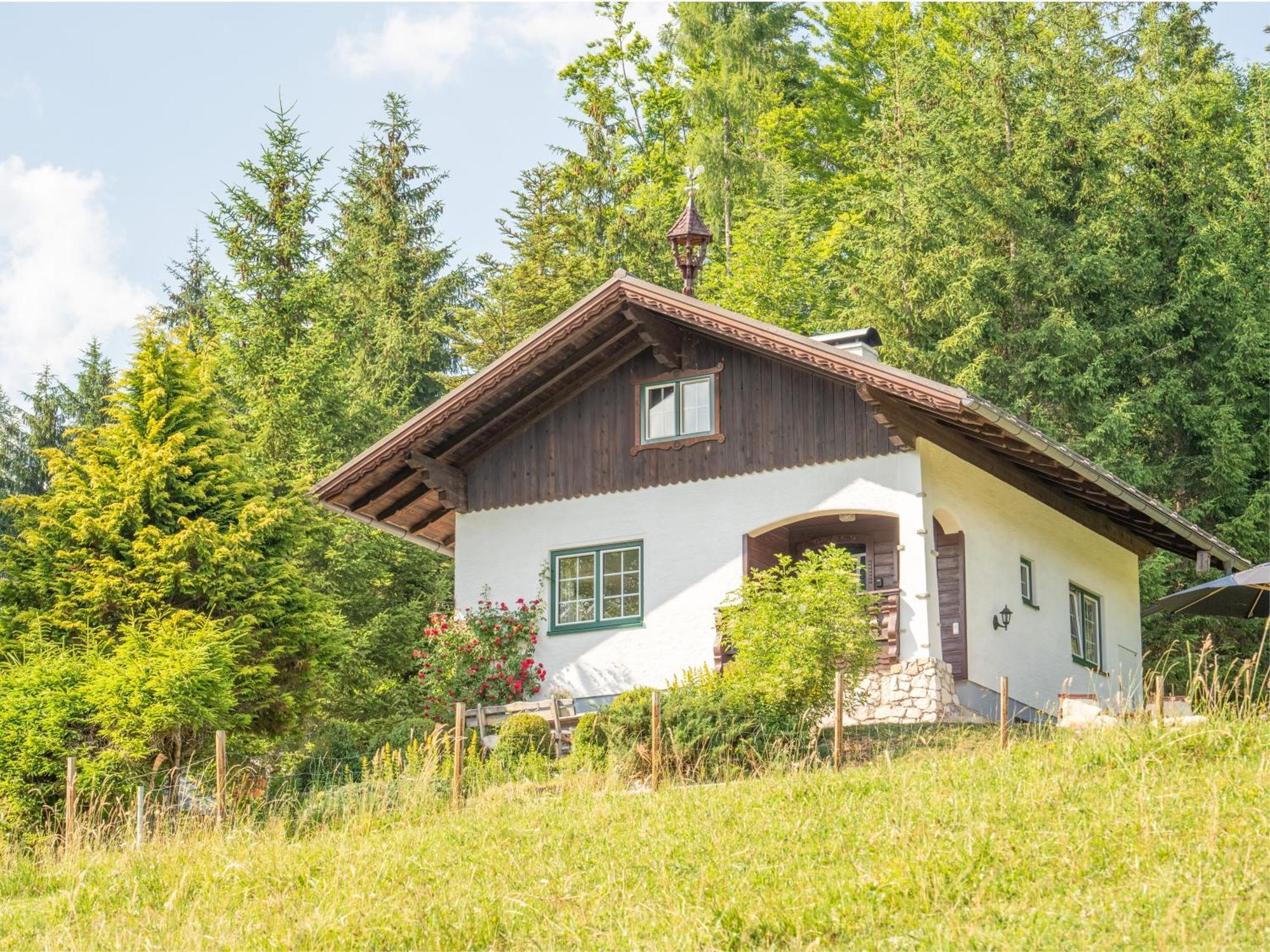 Vila Strickerl Bad Goisern Exteriér fotografie