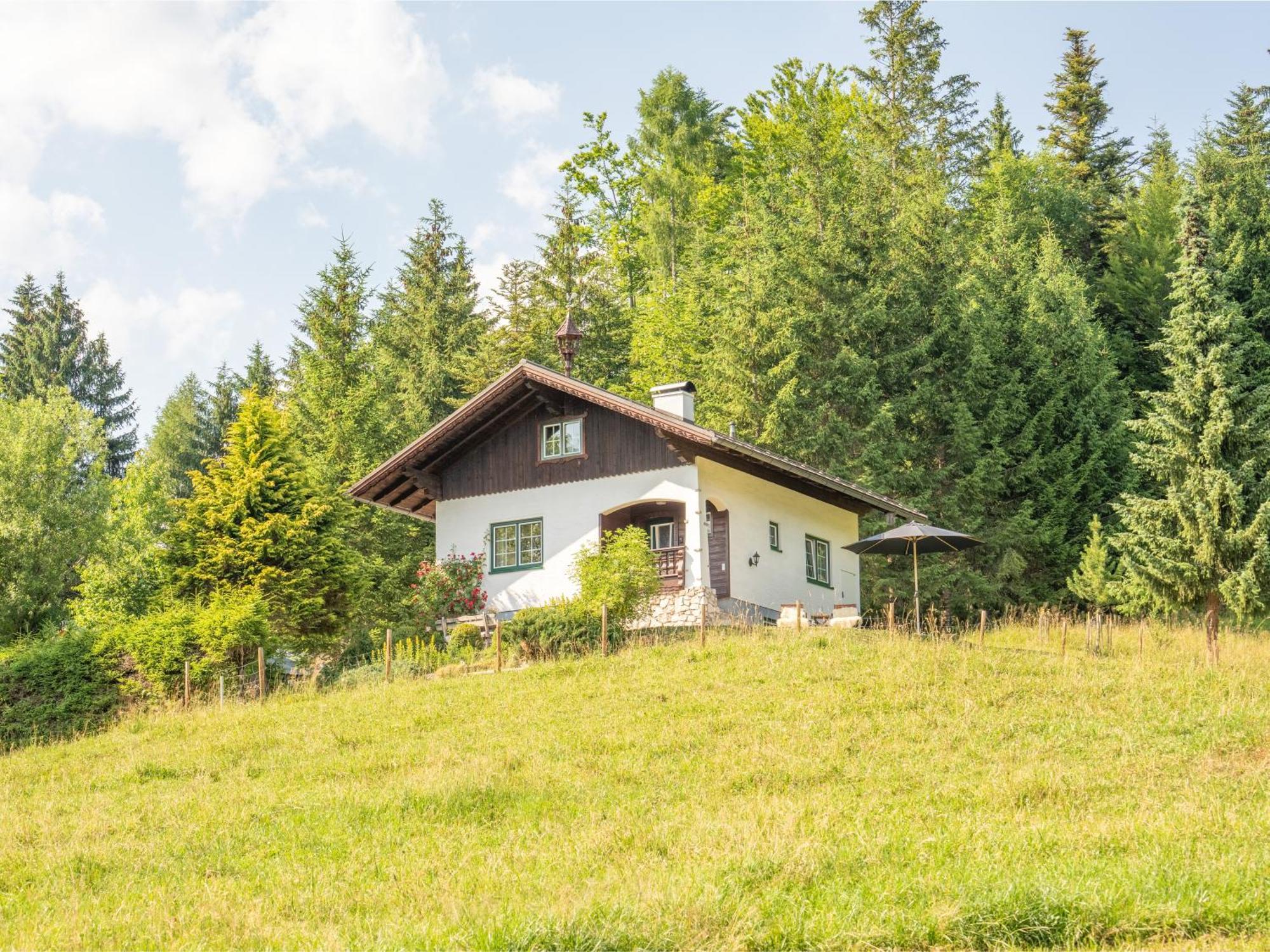 Vila Strickerl Bad Goisern Exteriér fotografie